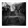 Run-Down Stairway Among Leafless Cherry Trees by Anonymous