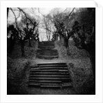Run-Down Stairway Among Leafless Cherry Trees by Anonymous