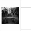 Run-Down Stairway Among Leafless Cherry Trees by Anonymous