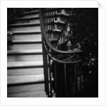 Floral Motif Railing Along a Stairway by Anonymous