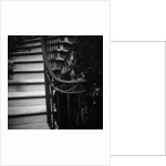 Floral Motif Railing Along a Stairway by Anonymous