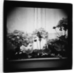 Cat in Window and Geraniums, Domesticity Annette Fournet by Corbis