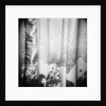 Curtain with Flower Shadow Annette Fournet by Anonymous