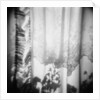 Curtain with Flower Shadow Annette Fournet by Anonymous