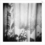 Curtain with Flower Shadow Annette Fournet by Anonymous
