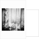 Curtain with Flower Shadow Annette Fournet by Anonymous