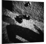 Shadow and Shoes by Annette Fournet