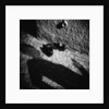Shadow and Shoes by Annette Fournet