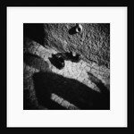 Shadow and Shoes by Annette Fournet