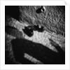 Shadow and Shoes by Annette Fournet