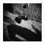 Shadow and Shoes by Annette Fournet
