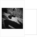 Shadow and Shoes by Annette Fournet