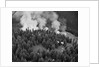Firejumpers in Lolo National Forest by Anonymous