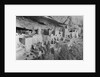 Cliff Palace at Mesa Verde by Anonymous