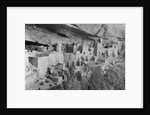 Cliff Palace at Mesa Verde by Anonymous
