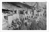 Cliff Palace at Mesa Verde by Anonymous