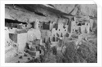 Cliff Palace at Mesa Verde by Anonymous