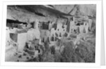 Cliff Palace at Mesa Verde by Anonymous