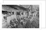 Cliff Palace at Mesa Verde by Anonymous