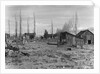 Abandoned Ranch in Owens Valley by Anonymous