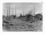 Abandoned Ranch in Owens Valley by Anonymous