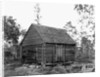 Log Home by Anonymous