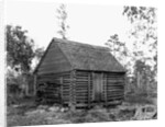 Log Home by Anonymous
