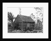 Log Home by Anonymous