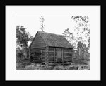 Log Home by Anonymous