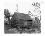 Log Home by Anonymous