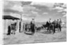 Moving Cattle Into Corral by Anonymous