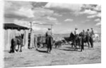 Moving Cattle Into Corral by Anonymous
