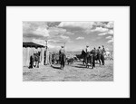 Moving Cattle Into Corral by Anonymous