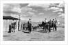 Moving Cattle Into Corral by Anonymous