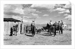 Moving Cattle Into Corral by Anonymous