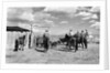Moving Cattle Into Corral by Anonymous