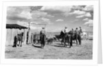 Moving Cattle Into Corral by Anonymous