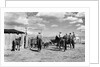Moving Cattle Into Corral by Anonymous