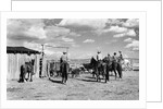 Moving Cattle Into Corral by Anonymous