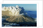 1980 Eruption of Mount St. Helens by Anonymous