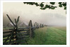 Morning Fog on a Mountain Farm by Anonymous