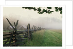 Morning Fog on a Mountain Farm by Anonymous