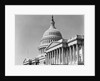 Dome and Portico of U.S. Capitol by Anonymous