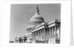 Dome and Portico of U.S. Capitol by Anonymous
