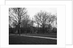 Nassau Hall at Princeton University by Anonymous