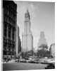 Woolworth Building by Anonymous