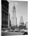 Woolworth Building by Anonymous