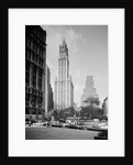 Woolworth Building by Anonymous