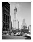 Woolworth Building by Anonymous