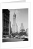 Woolworth Building by Anonymous